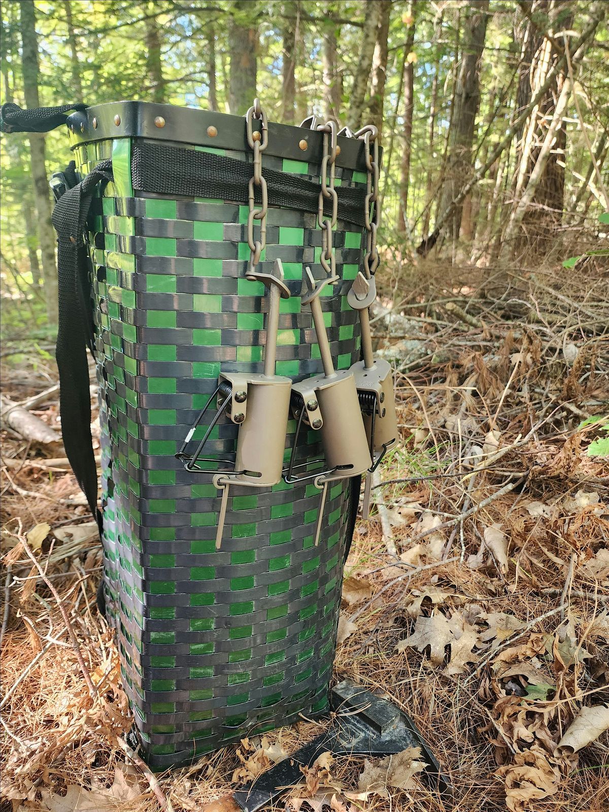 Learn to Trap: Setting DP Traps for Raccoons - Augusta