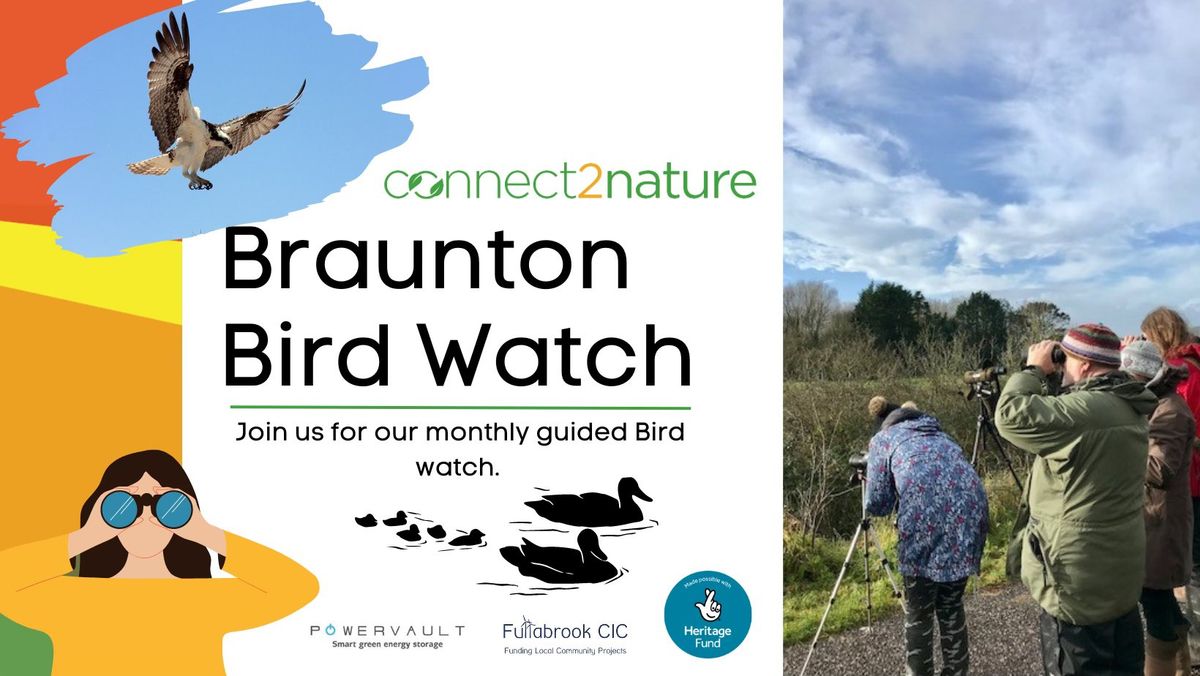 Braunton Bird Watch