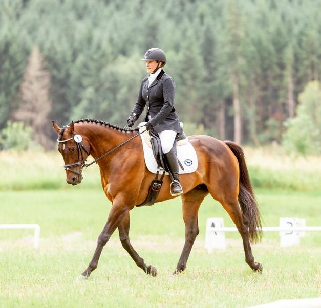 Trotting Into Spring Dressage Schooling Show