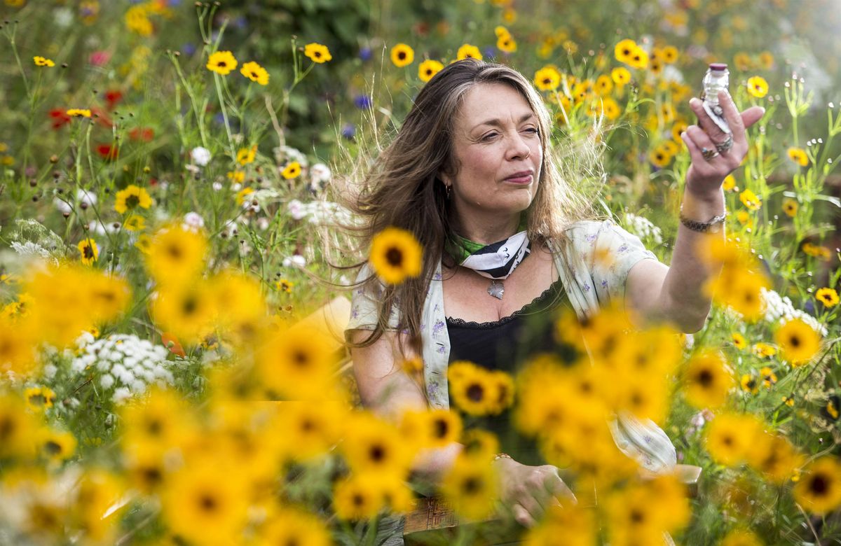Herbal Magic: Amanda Edmiston on 'Collected Curiosities'