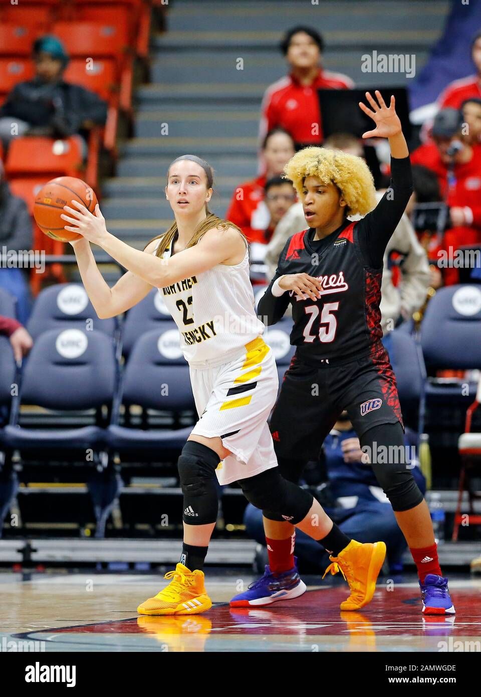 LSU Lady Tigers at Illinois Chicago Flames Womens Basketball