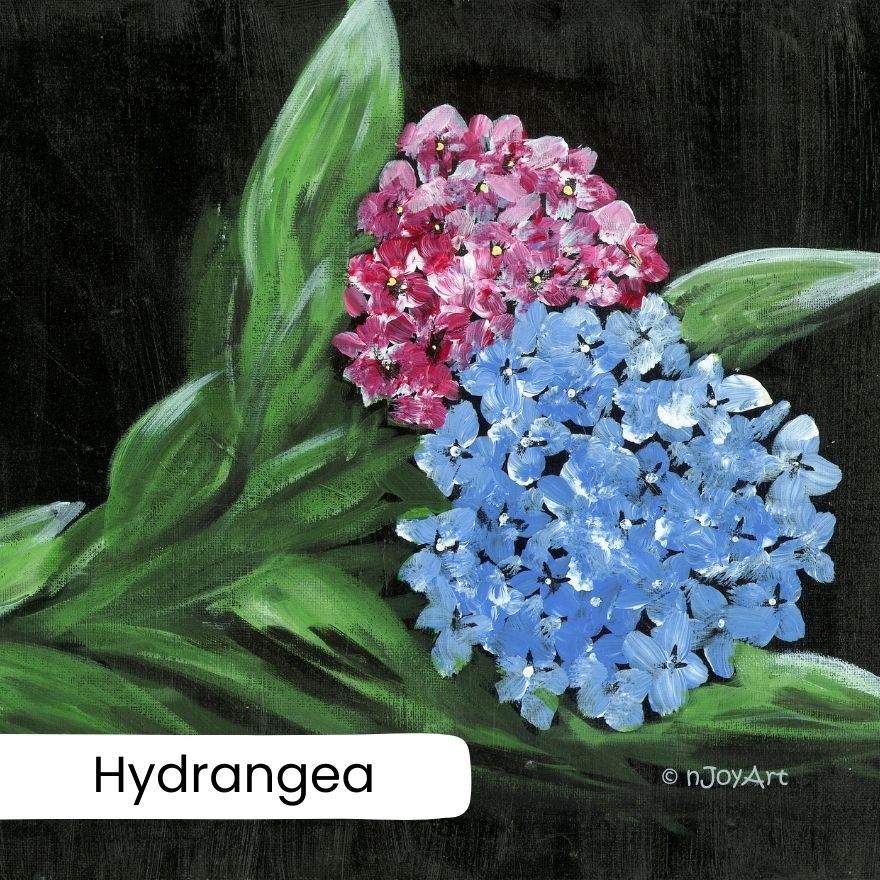 PAINTING FOR FUN at The Bull Inn, Clifton-upon-Dunsmore  - Hydrangea