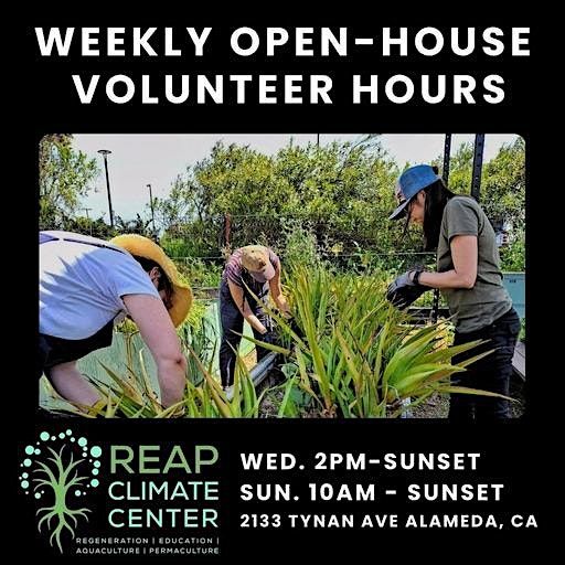Volunteer Day & Open House at REAP Climate Center
