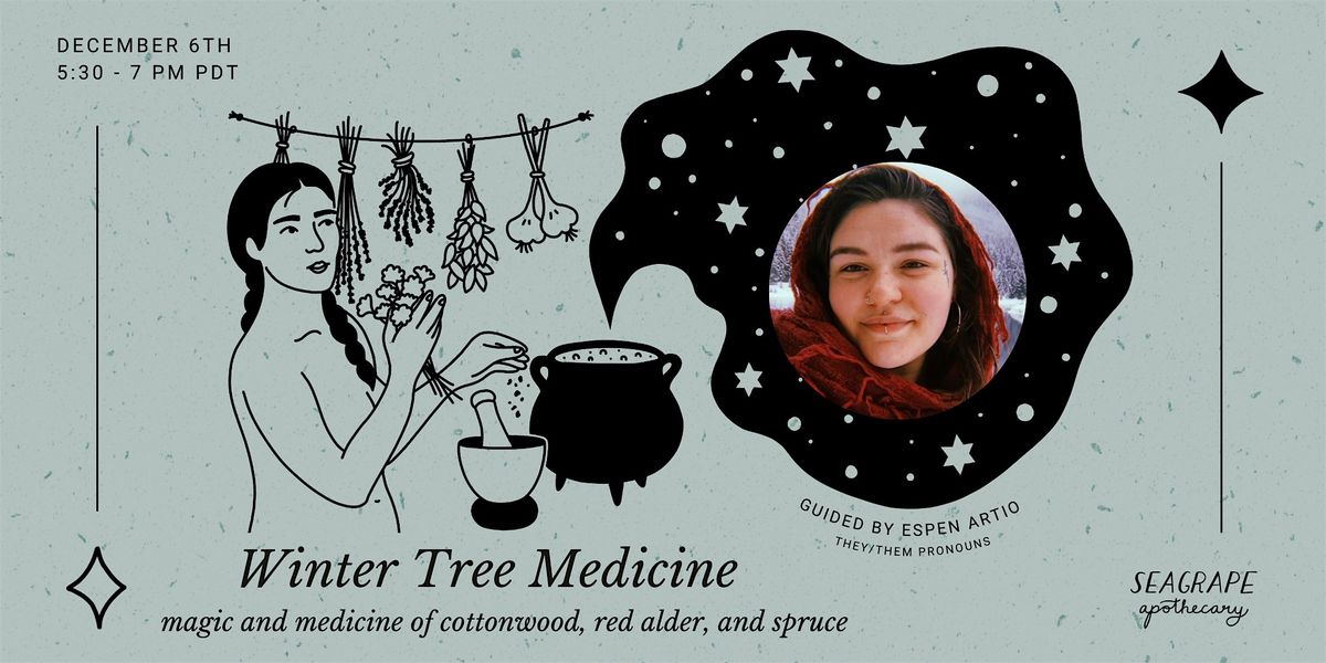 Winter Tree Medicine