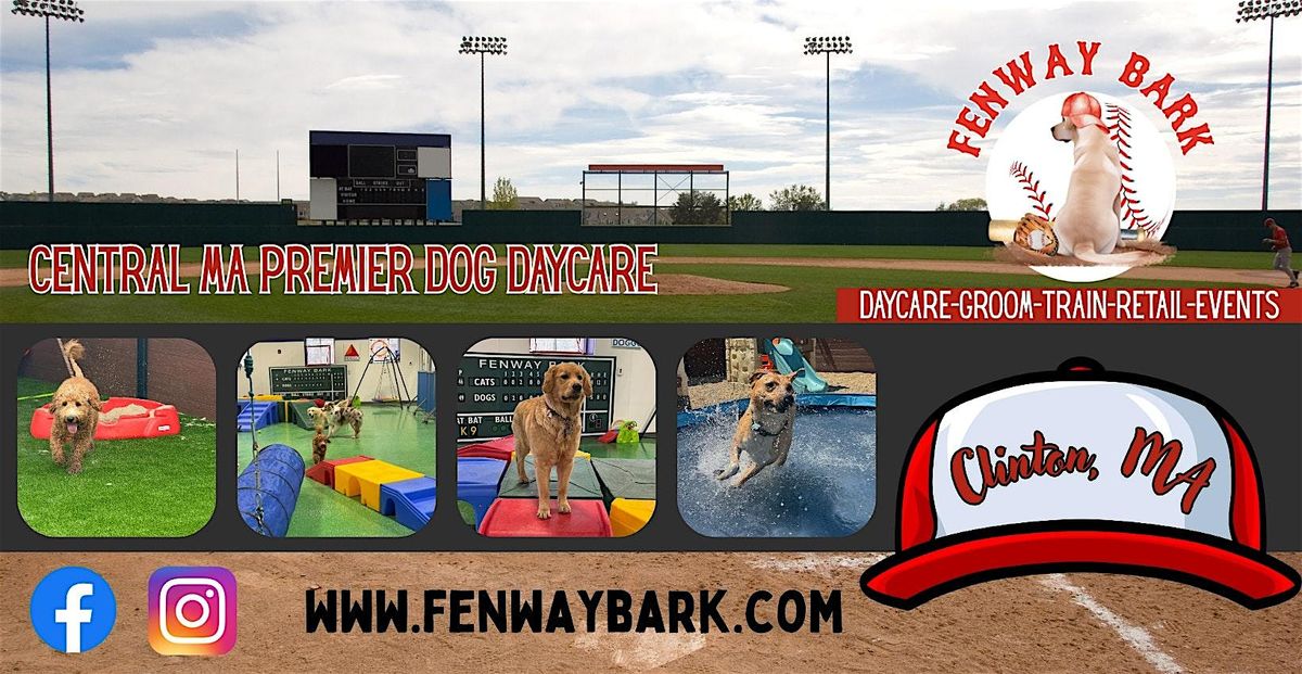 Doggy Open Play