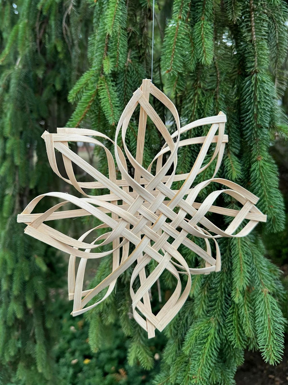 Woven Snowflake Workshop
