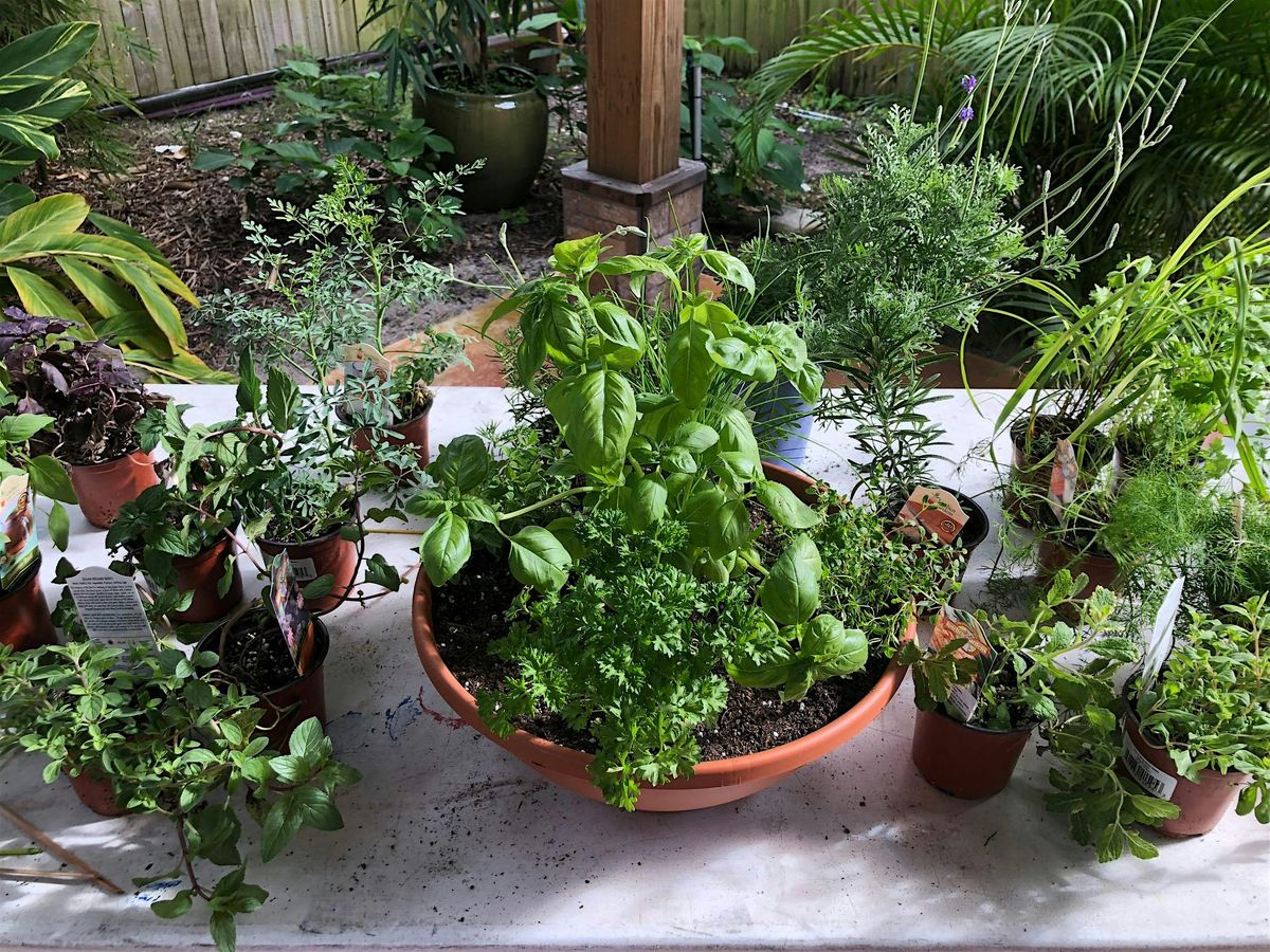 Make + Take: Herb Container Garden