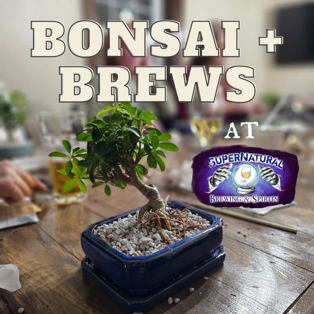 Bonsai + Brews at Supernatural Brewing