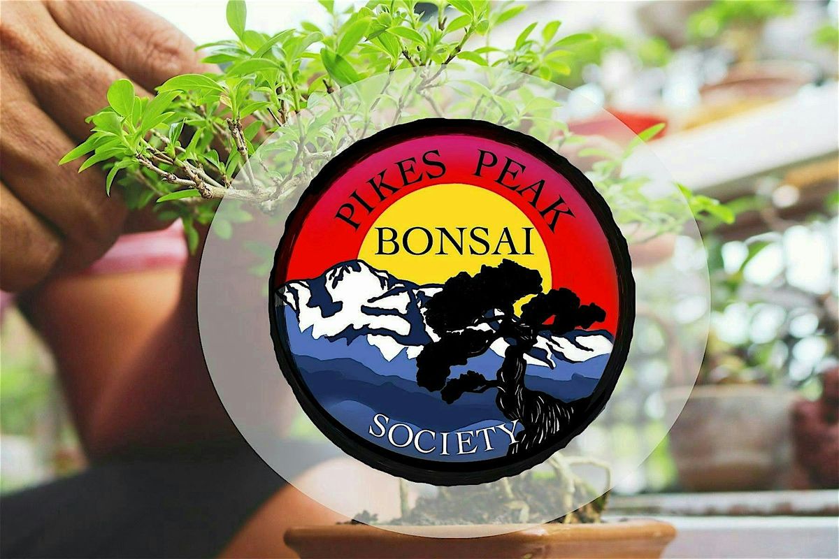 Free Demo - Turning Nursery Stock to Bonsai