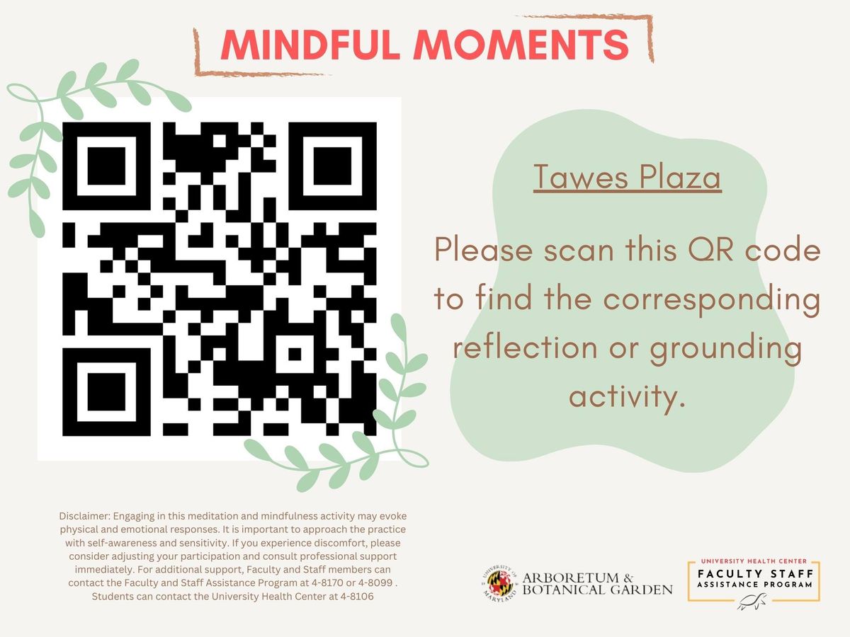 Mindful Moments Guided Tour