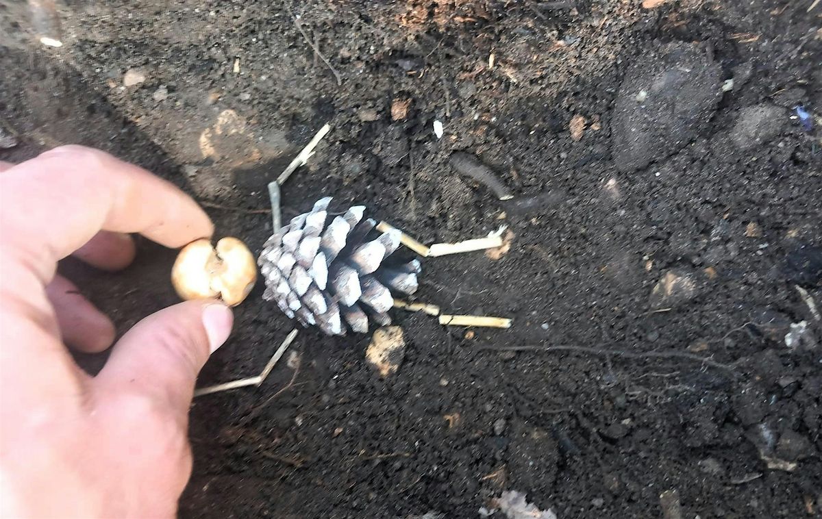 Halloween Bulb Planting at Branksome Recreation Ground