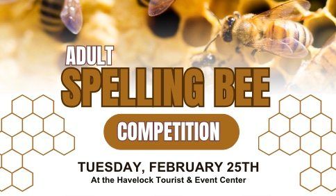 Adult Spelling Bee