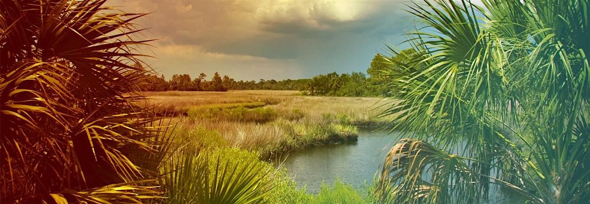 Aquatic, Natural Areas, Right of Way Pesticide CEU Day