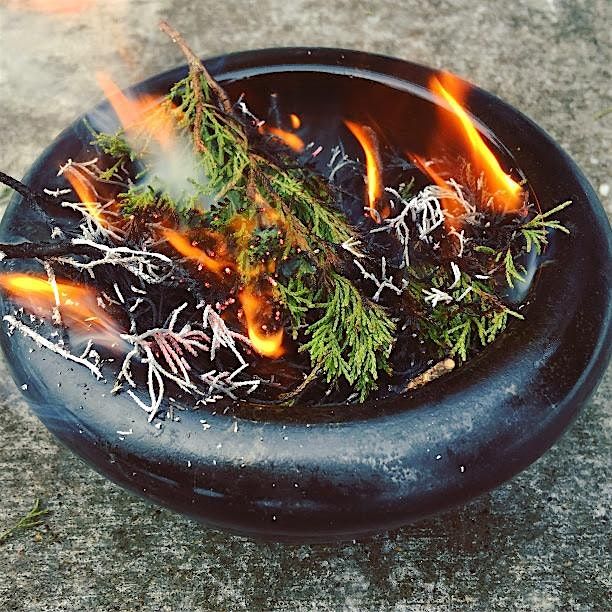 The fresh flavors of juniper - meals, medicine, and drink