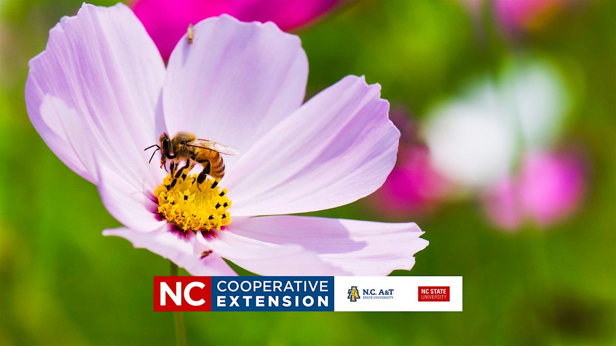 Beginning Beekeeping Course -Non-Honey Products\/Honey Plants -  Week 4