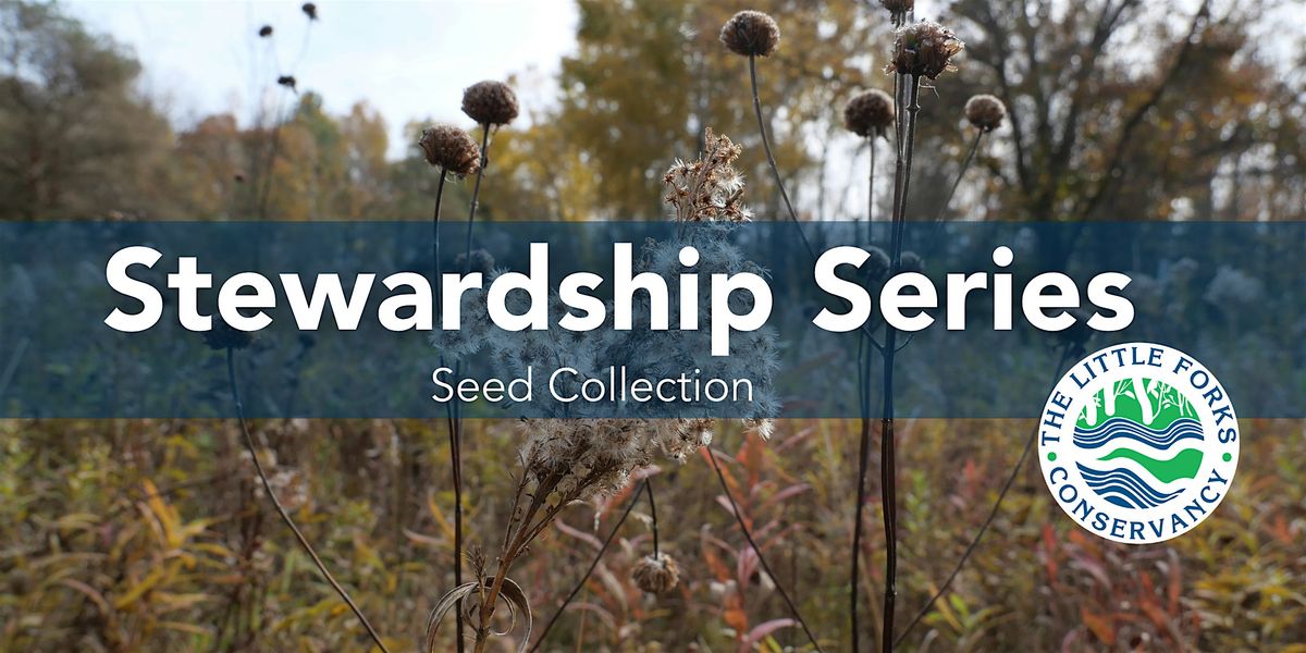 Stewardship Series: Seed Collection