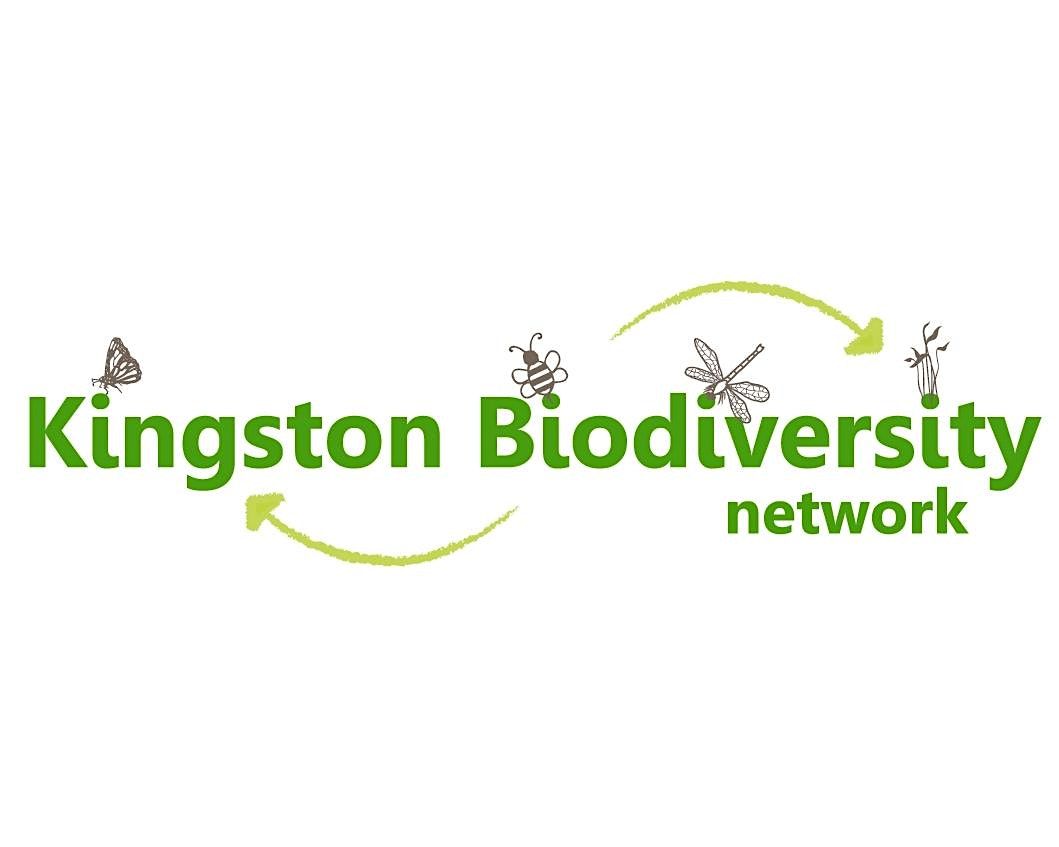 Kingston Biodiversity Network January Meeting