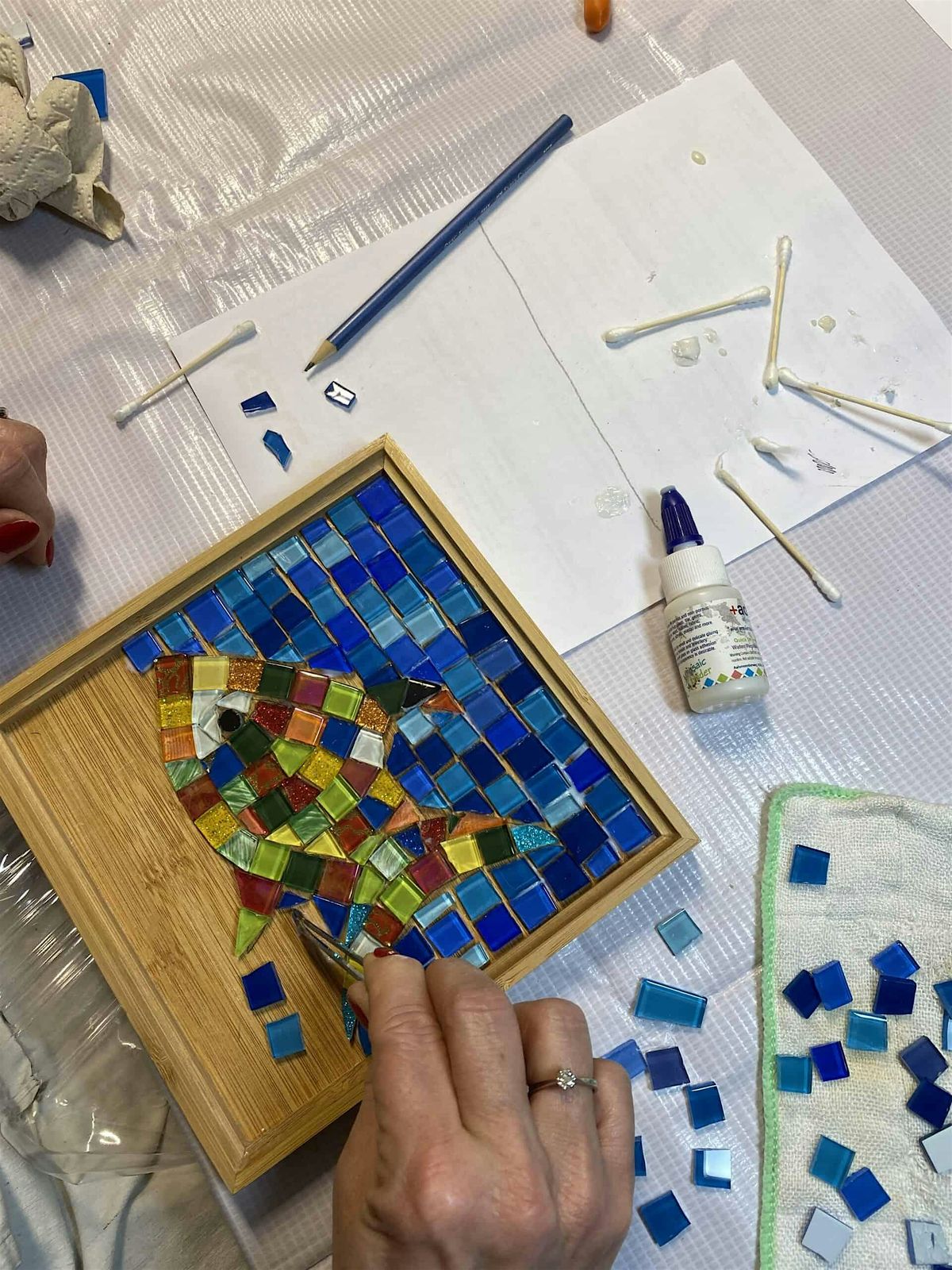 Mosaic Workshop