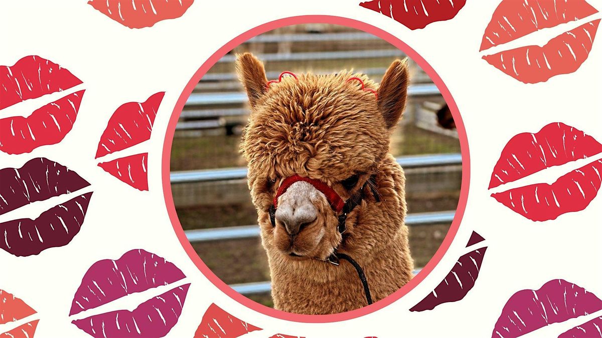 Alpaca Kissing Booth