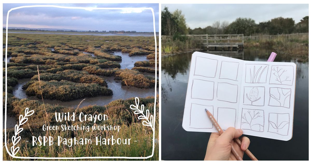 Green Sketching - RSPB Pagham Harbour