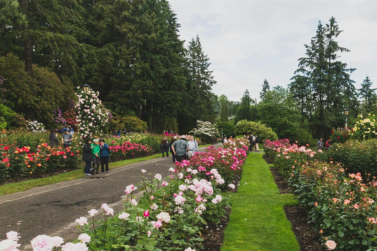 Meet your ICF Coach Community in the Mid Valley (Eugene!)