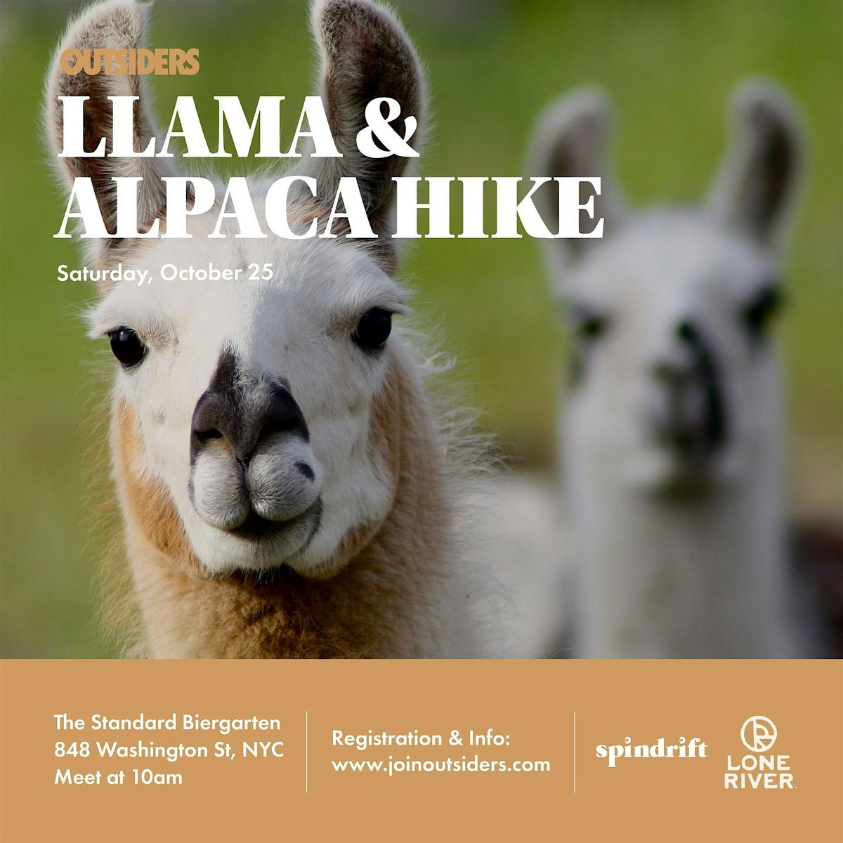 Llama & Alpaca Hike October 2025