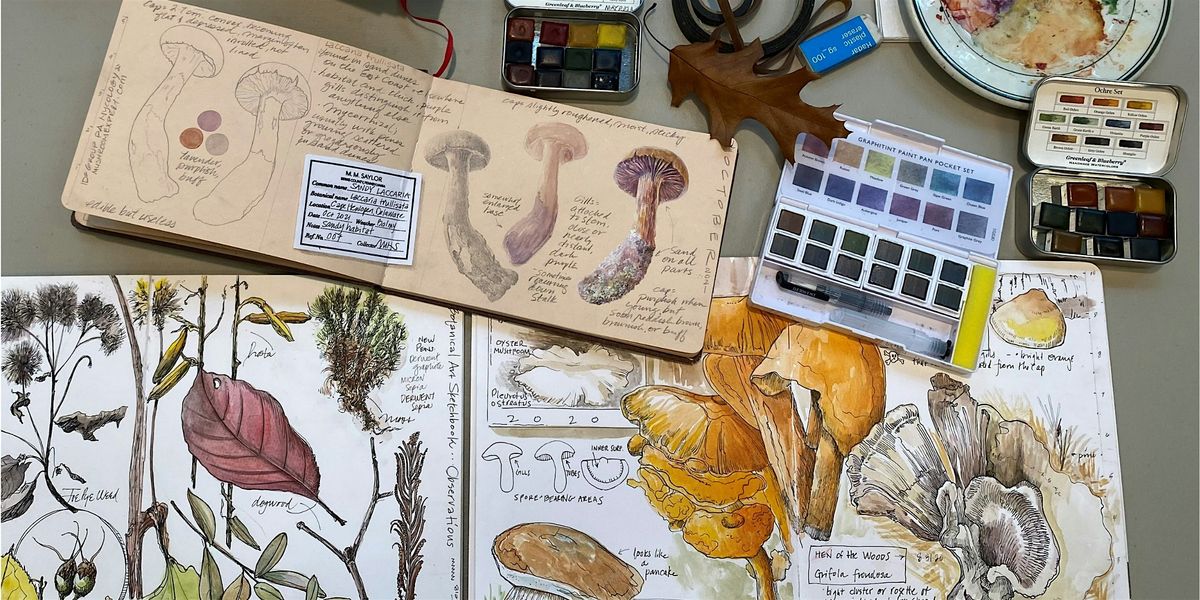 The Mushroom Forager's Sketchbook