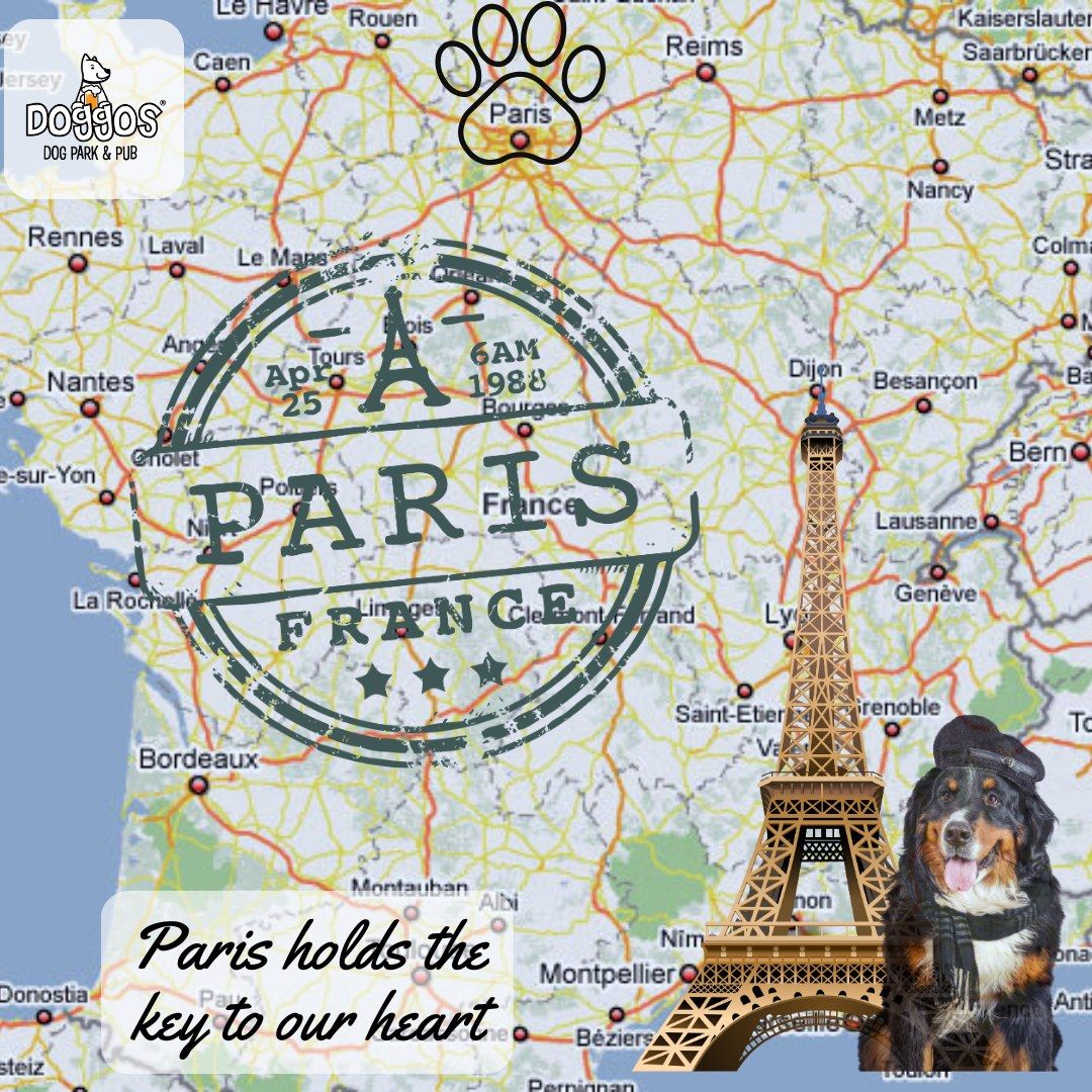 Doggos World Tour: First stop Paris