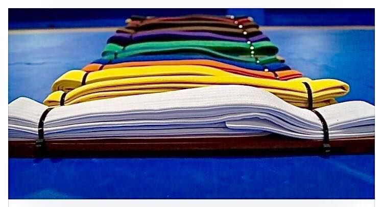 Lincoln Traditional Karate Academy Belt Grading Kyu Level (Color belts) June 23rd, 2022