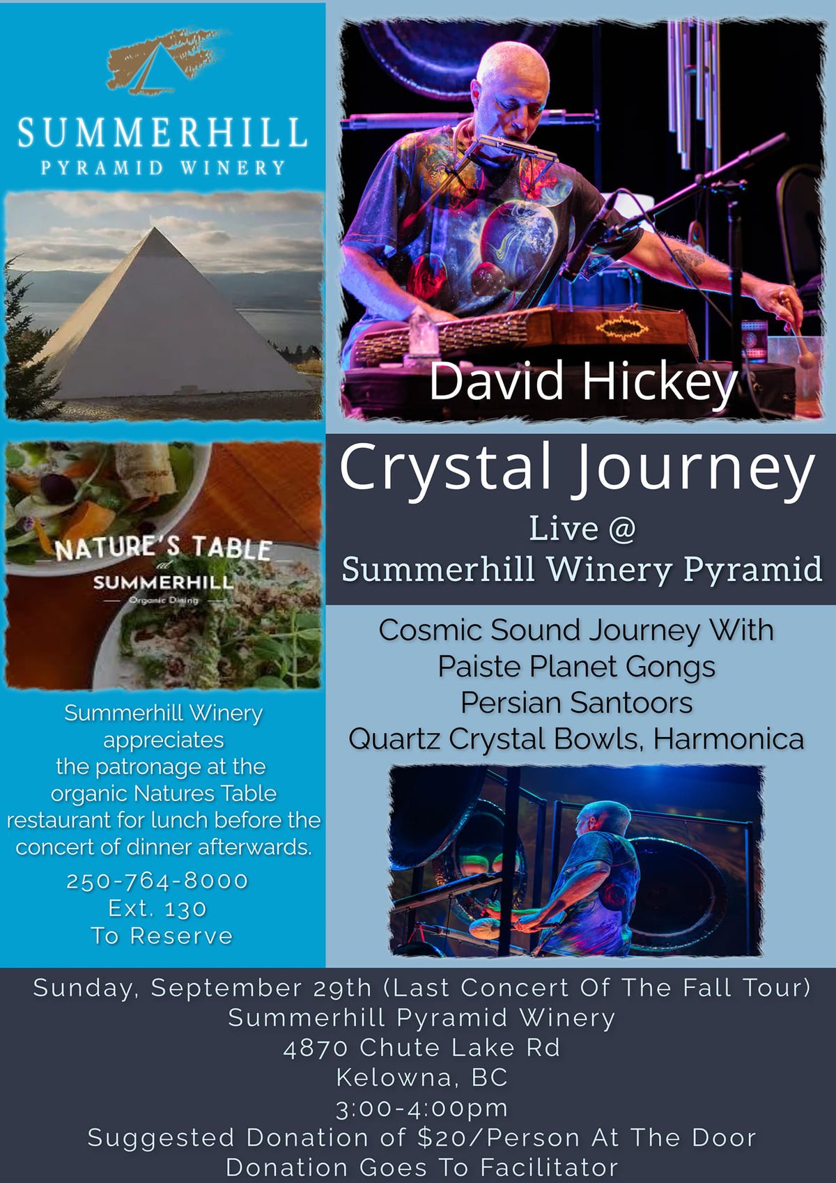 David Hickey Crystal Journey 