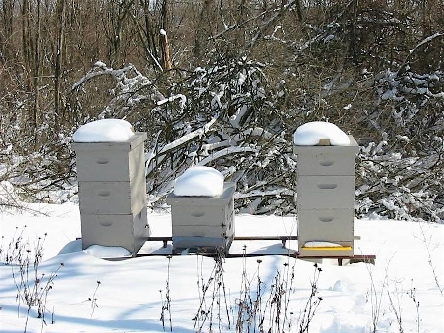 Greene County Parks & Trails 6 session Beginner Beekeeping Class