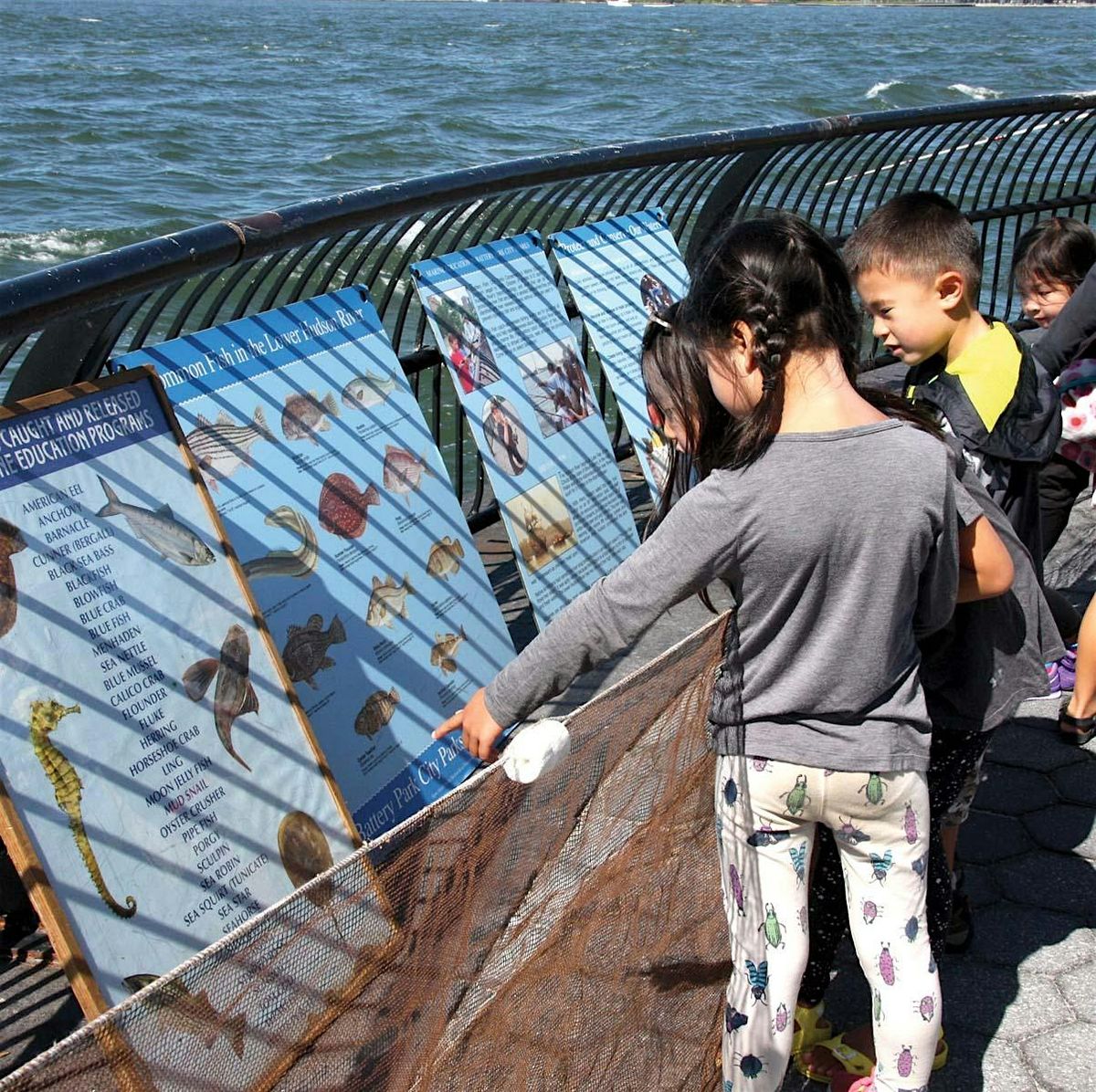 GO FISH!