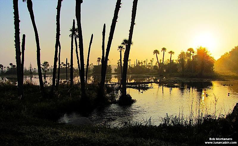 FIELD TRIP: Orlando Wetlands Park