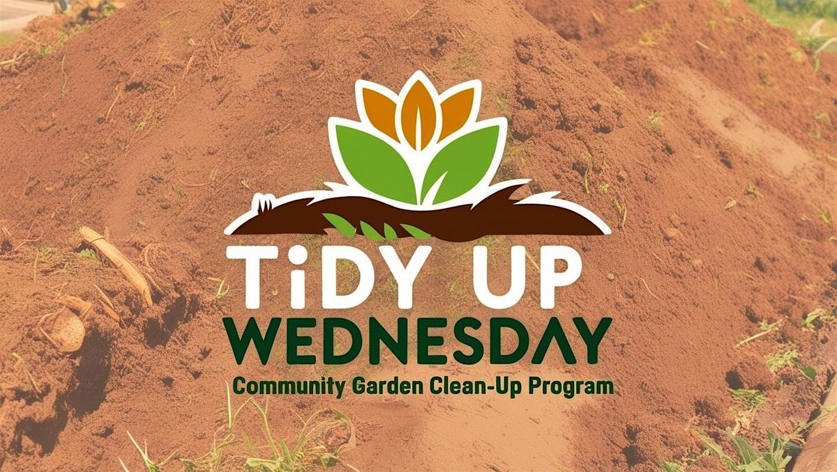 TIDY UP WEDNESDAYS