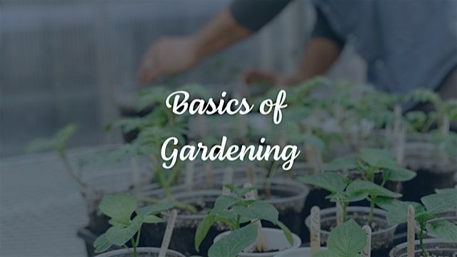 Basics of Gardening