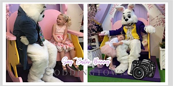 Easter Bunny photos at Coddingtown