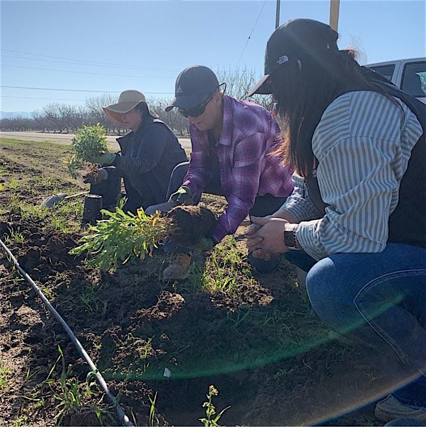 Bixler Farm Hedgerow Planting Day