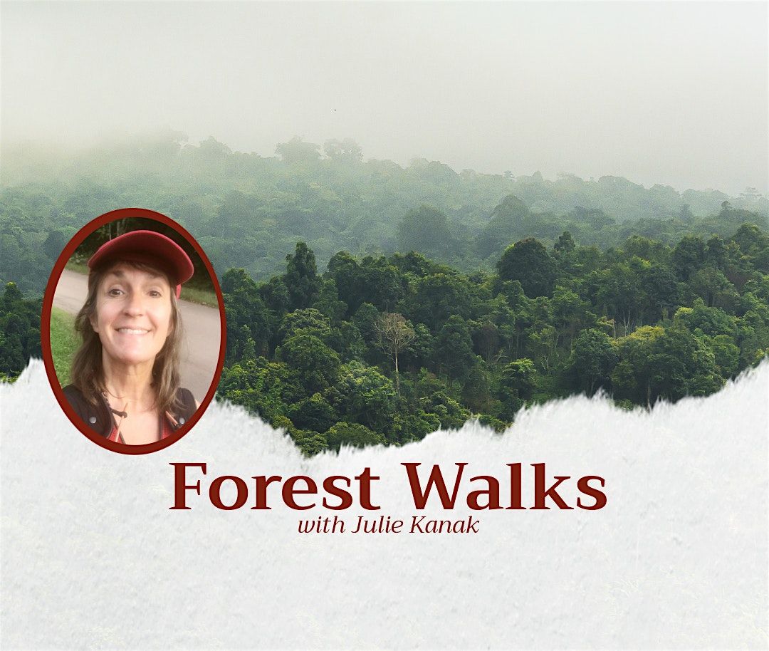 Forest Walks with Julie Kanak