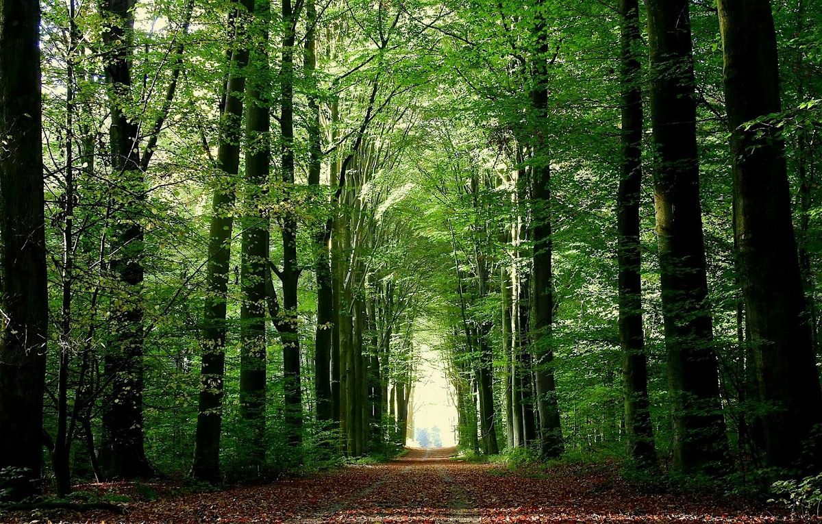 A nature reserve and the forest south of Leuven! (21km)