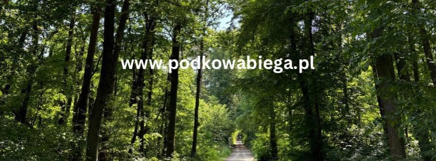 Bieg Stulecia Podkowy Le\u015bnej 