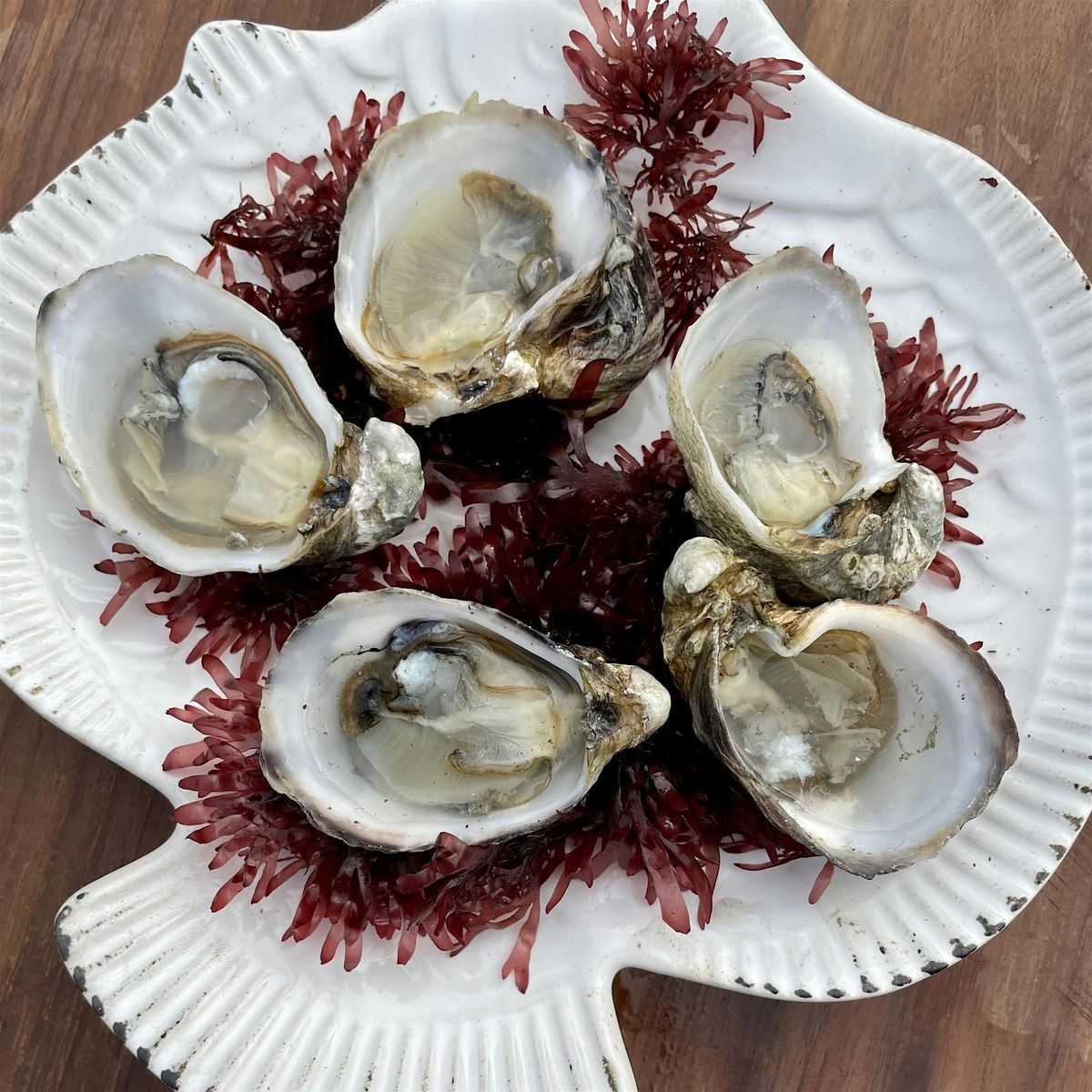 Blue Foods Forum: Seaweed Oyster Mixer