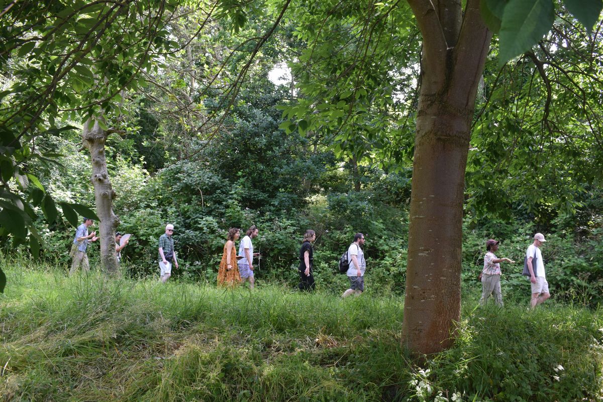 Restorative Stroll & Chat   with  Creative Expression & a Cuppa