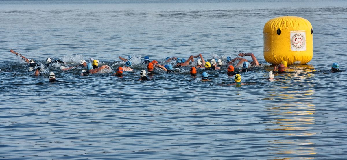 Snapping Tortuga Open Water Swim