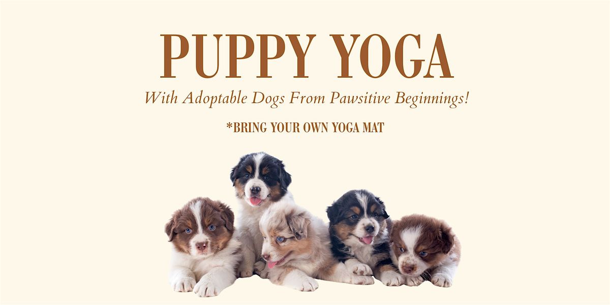 Puppy Yoga at Forte Vita