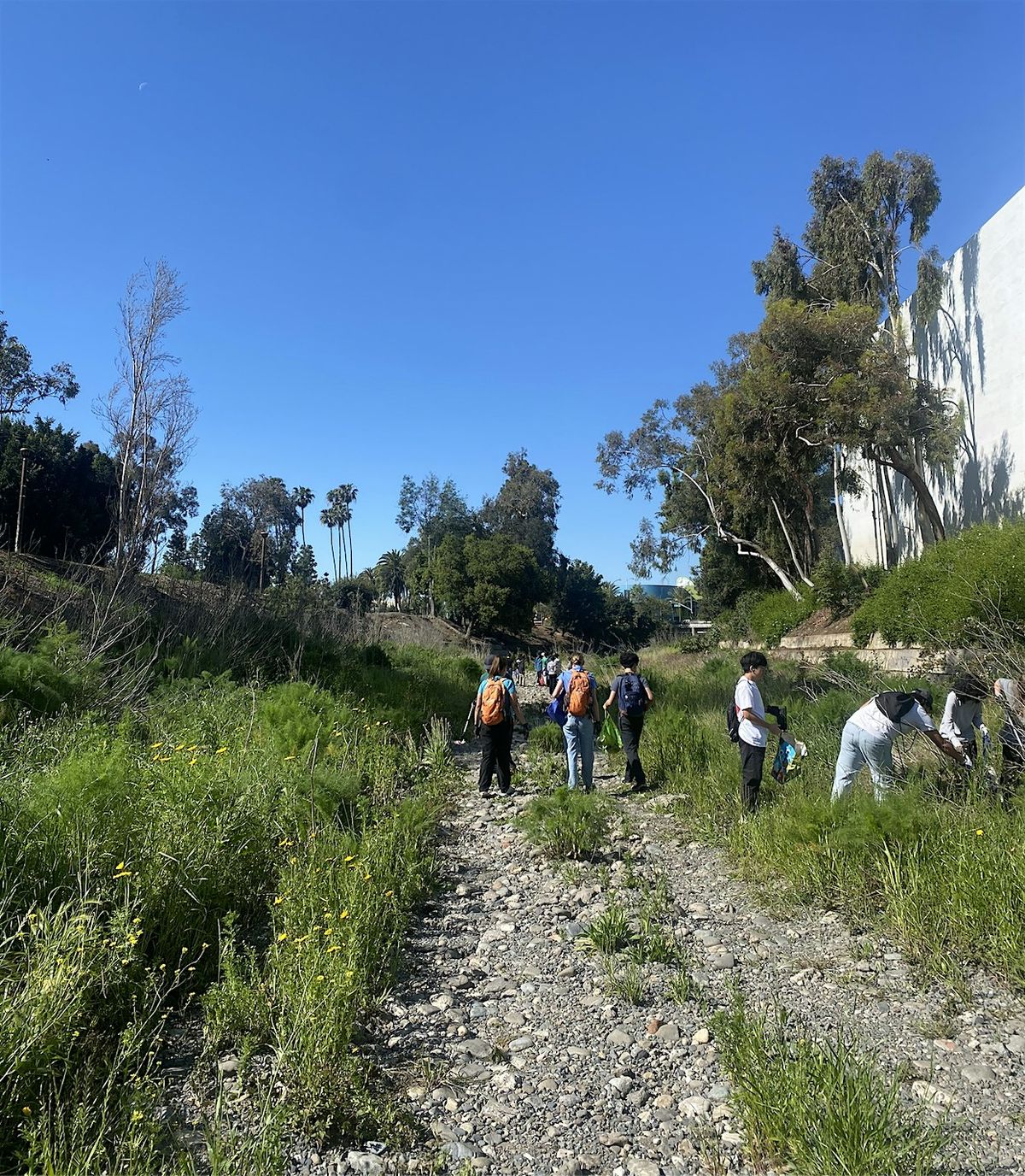 Santiago Park Clean-Up & Restoration