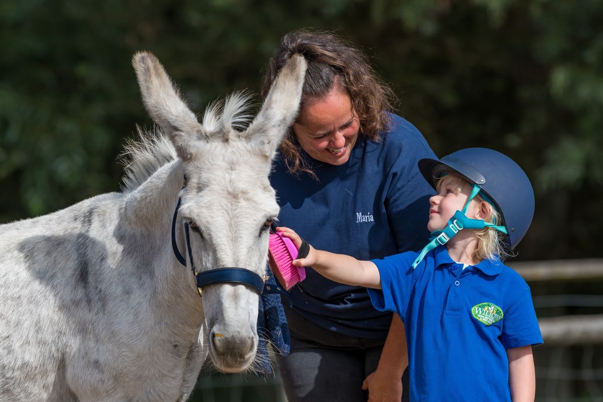 Nursery Open Day - Saturday 2nd November 2024