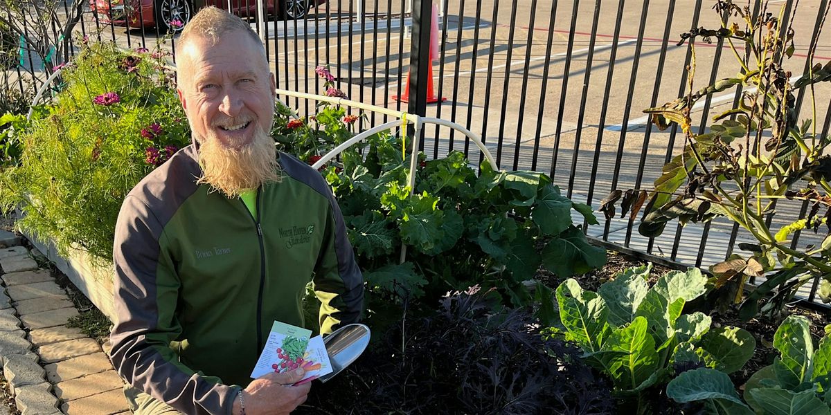 Organic Vegetables by Seed