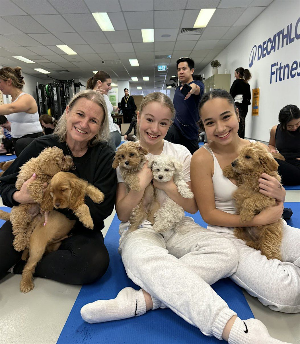 Puppy Yoga Sydney - Sydney CBD (Wynyard)