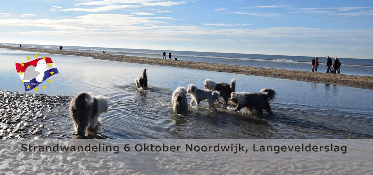 Strandwandeling Noordwijk