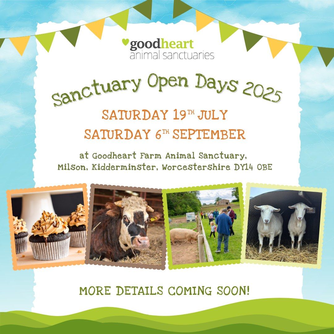 Summer Open Day